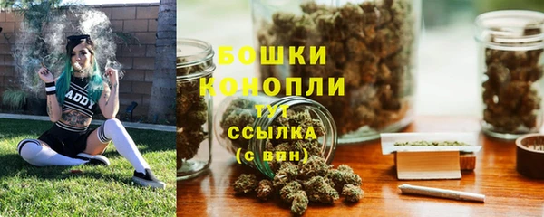 шишки Козловка